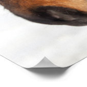 IJslands paardenprofiel, IJsland Poster (Hoek)