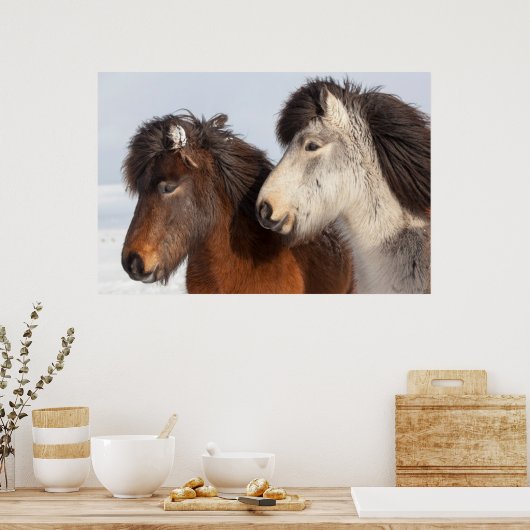 IJslands paardenprofiel, IJsland Poster (Keuken)