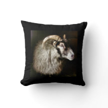 IJslands SCHAPENGELOOF