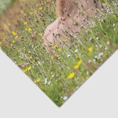 IJslands schuurpapier voor paarden Tissuepapier (Detail)