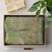 IJslands schuurpapier voor paarden Tissuepapier (Geschenk)