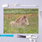 IJslands schuurpapier voor paarden Tissuepapier (Craft)