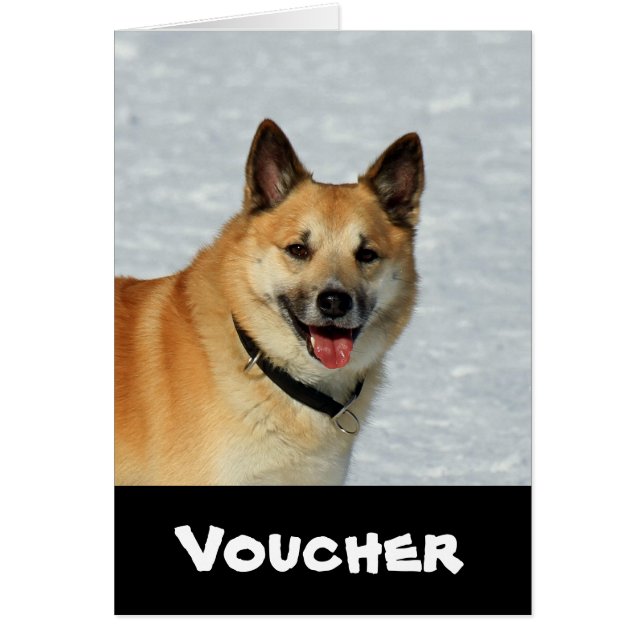 IJslands Sheepdog20150904 (Voorkant)