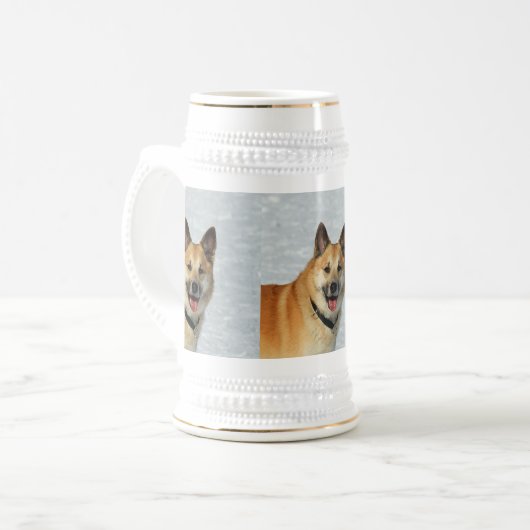 IJslands Sheepdog20150904 Bierpul (Voorkant links)