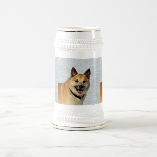 IJslands Sheepdog20150904 Bierpul (Center)