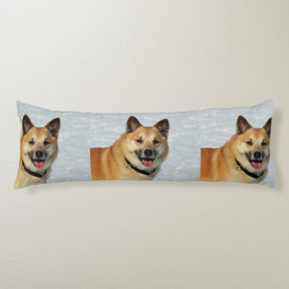 IJslands Sheepdog20150904 Lichaamskussen