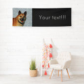 IJslands Sheepdog20150904 Spandoek (Insitu)