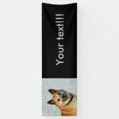 IJslands Sheepdog20150904 Spandoek (Verticaal)