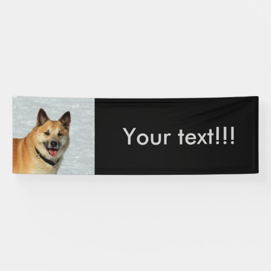 IJslands Sheepdog20150904 Spandoek (Horizontaal)