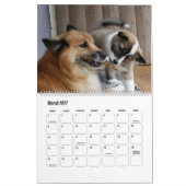 IJslands Sheepdog20151001 Kalender (Mar 2027)
