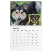 IJslands Sheepdog20151001 Kalender (Jan 2027)