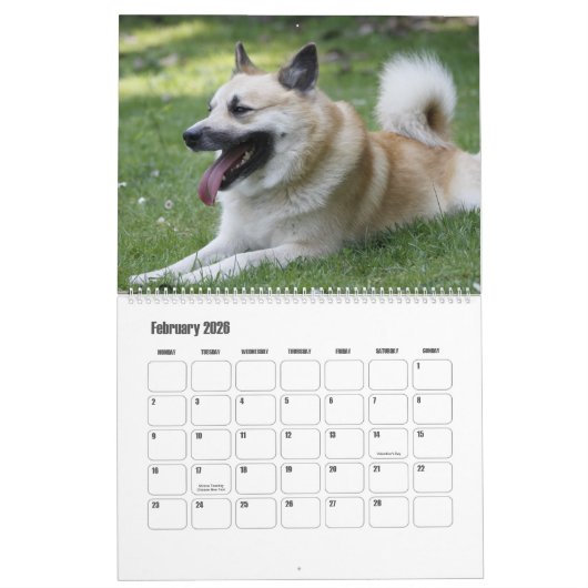 IJslands Sheepdog20151001 Kalender (Feb 2026)