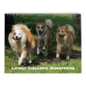 IJslands Sheepdog20151001 Kalender (Hoes)
