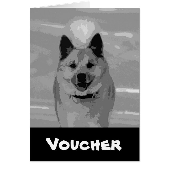 IJslands Sheepdog20151203 (Voorkant)