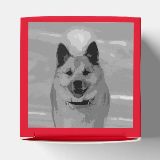 IJslands Sheepdog20151203 Bedankdoosjes (Bovenkant)