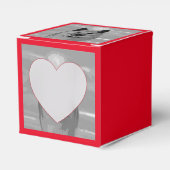 IJslands Sheepdog20151203 Bedankdoosjes (Voorkant Zijde)