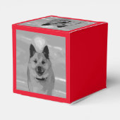 IJslands Sheepdog20151203 Bedankdoosjes (Achterkant)