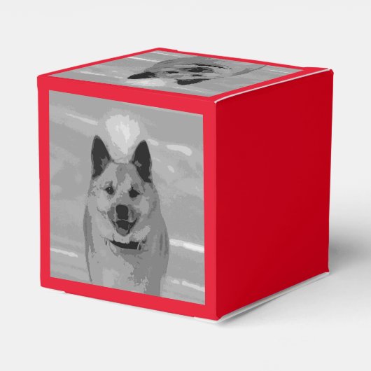 IJslands Sheepdog20151203 Bedankdoosjes (Achterkant)