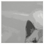IJslands Sheepdog20151203 Stof (Swatch)