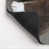 IJslands Sheepdog_20171202_by_JAMFoto Muismat (Hoek)