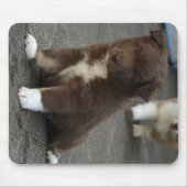 IJslands Sheepdog_20171202_by_JAMFoto Muismat (Voorkant)