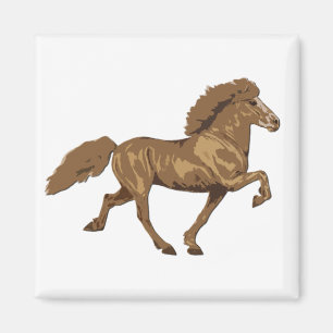  IJslands van 1930 Magneet