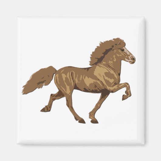  IJslands van 1930 Magneet (Voorkant)