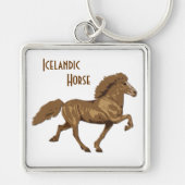  IJslands van 1930 Sleutelhanger (Voorkant)