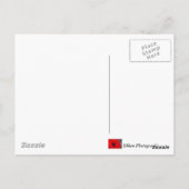 IJslands veulen Briefkaart (Achterkant)