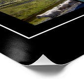 IJslands zomerlandschap Perfect Poster (Hoek)