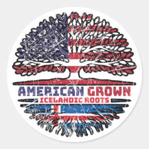 IJslandse Amerikaanse vlag Ronde Sticker