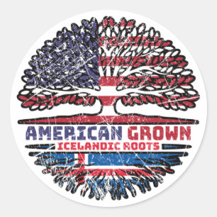 IJslandse Amerikaanse vlag Ronde Sticker