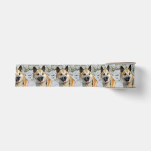 IJslandse Herdershond 2014-1001 Grosgrain Lint