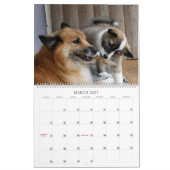 IJslandse hond 001 Kalender (Mar 2027)
