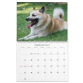 IJslandse hond 001 Kalender (Feb 2027)