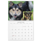 IJslandse hond 001 Kalender (Jan 2026)
