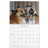 IJslandse hond 001 Kalender (Mar 2026)