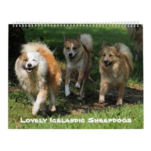 IJslandse hond 001 Kalender (Hoes)