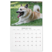 IJslandse hond 001 Kalender (Feb 2026)