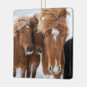 IJslandse horsmakreel, IJsland Keramisch Ornament (Links)