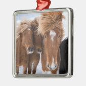 IJslandse horsmakreel, IJsland Metalen Ornament (Links)