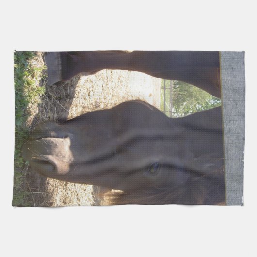 IJslandse keukenhanddoeken (Horizontaal)