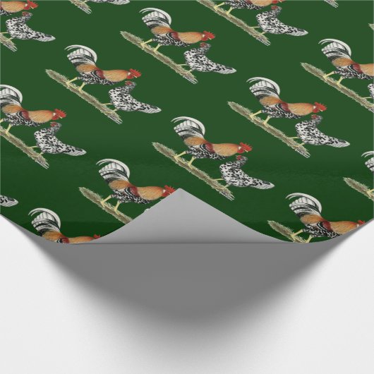 IJslandse kippen Cadeaupapier (Hoek)