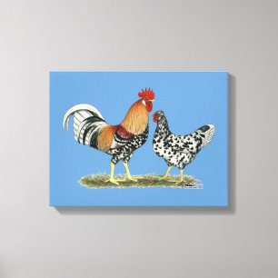 IJslandse kippen Canvas Afdruk