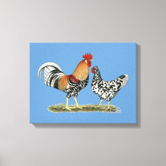 IJslandse kippen Canvas Afdruk (Voorkant)