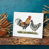 IJslandse kippen Fotoplaat (Zijkant)