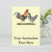 IJslandse kippen Kaart (Staand voorkant)