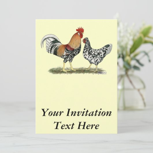 IJslandse kippen Kaart (Staand voorkant)