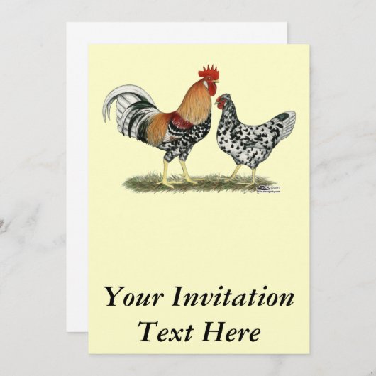 IJslandse kippen Kaart (Voorkant / Achterkant)