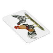 IJslandse kippen Magneet (Rechterzijde)